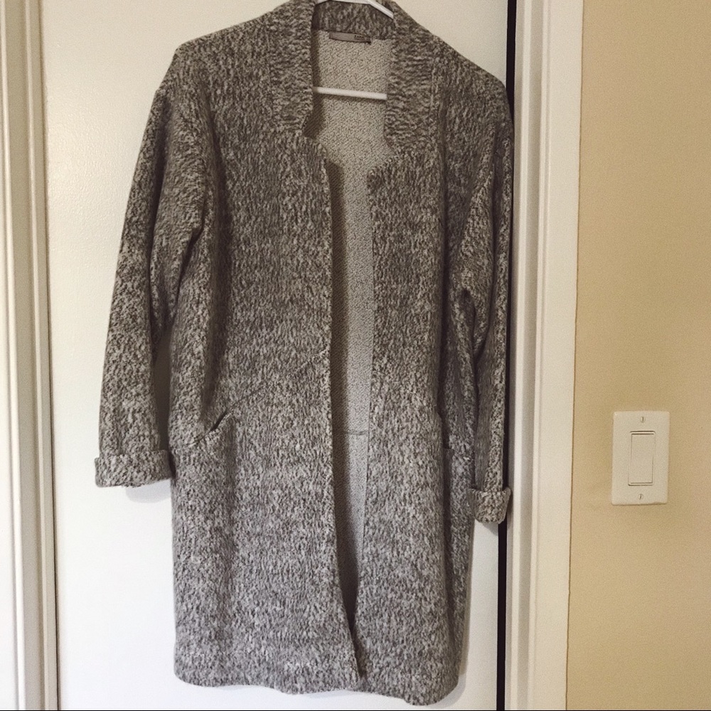 Zara Fuzzy Coat